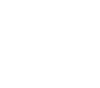 ZBrush Logo | AIE