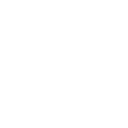 Perforce Logo | AIE