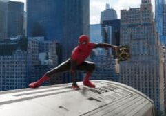 Peter-Lee-Spider